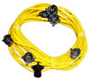 FESTOON STRINGS