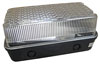 100W BC (Clear)